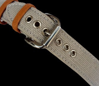 Close-up of a beige leather belt with metal buckle on a black background