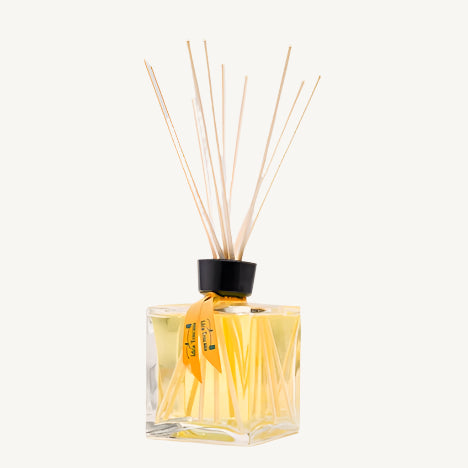 "Prima Spremitura Agrumi Scented Room Diffuser 250ml – citrus-scented home fragrance with natural essential oils, elegantly diffused through wooden sticks to create a vibrant and harmonious atmosphere that enhances mood and well-being."